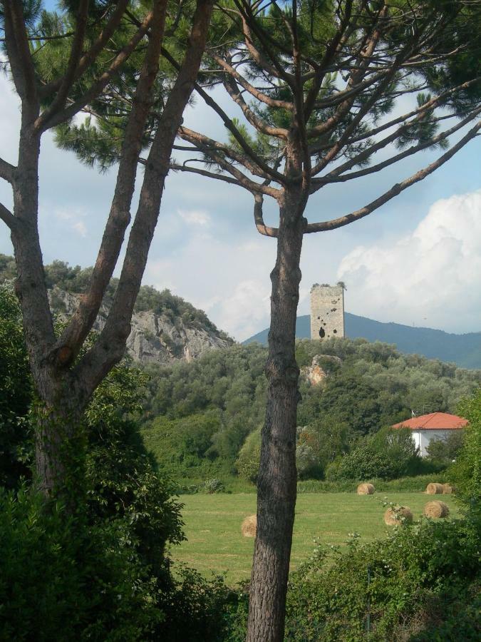 B&B La Rondine Tra Pisa E Lucca San Giuliano Terme Extérieur photo