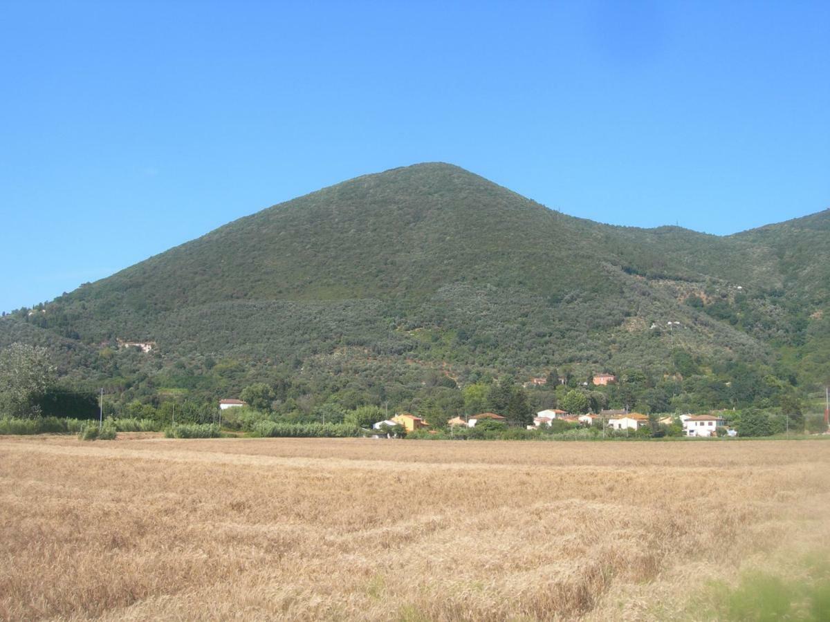 B&B La Rondine Tra Pisa E Lucca San Giuliano Terme Extérieur photo